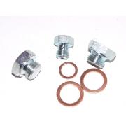 Filter Head Blank Screw Kit